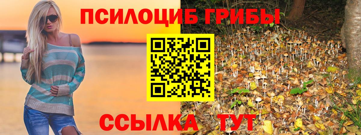 Галлюциногенные грибы Psilocybe  Вход с VPN  Ростов-на-Дону 